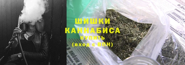 тгк Бородино
