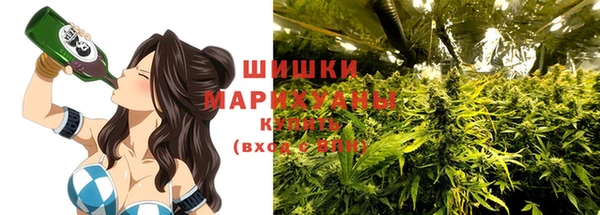 дживик Володарск