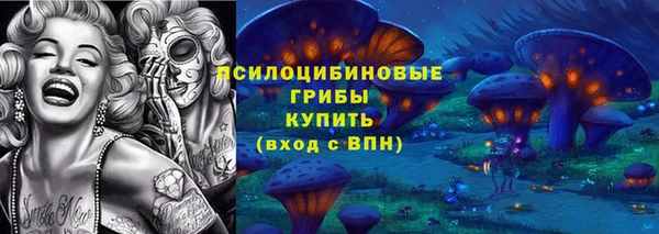 дживик Володарск