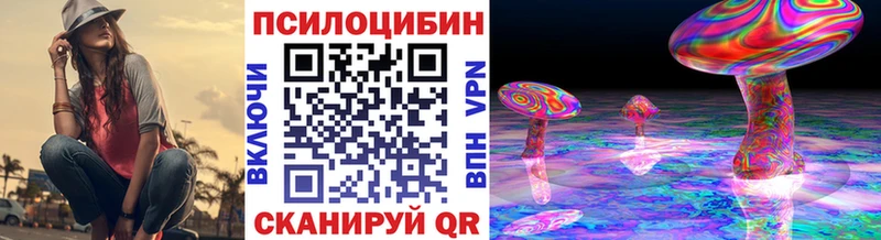 kraken ТОР  Звенигово  Галлюциногенные грибы мицелий 